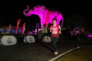 BIB: 
                            <button type="button" onclick="openModal(26534877)" class="btn btn-primary btn-sm float-right btn-popup" data-toggle="modal" data-target=".modal-high-quality">
                        <i class="fas fa-shopping-cart"></i> Add to Cart
                    </button>
                                            <button type="button" onclick="isThisMe(26534877, true)" class="btn btn-success btn-sm float-right btn-popup btn-isme hidden" data-toggle="tooltip" data-placement="bottom" title="นี่คือรูปของคุณใช่ไหม คลิกที่นี่เพื่อเอาเข้าอัลบั้ม">
                        <i class="fas fa-plus"></i> Add to album
                    </button>
                    <button type="button" onclick="isThisMe(26534877, false)" class="btn btn-warning btn-sm float-right btn-popup btn-isnotme hidden">
                        <i class="fas fa-ban"></i> Remove from album
                    </button>